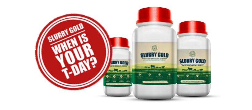 Slurry Gold