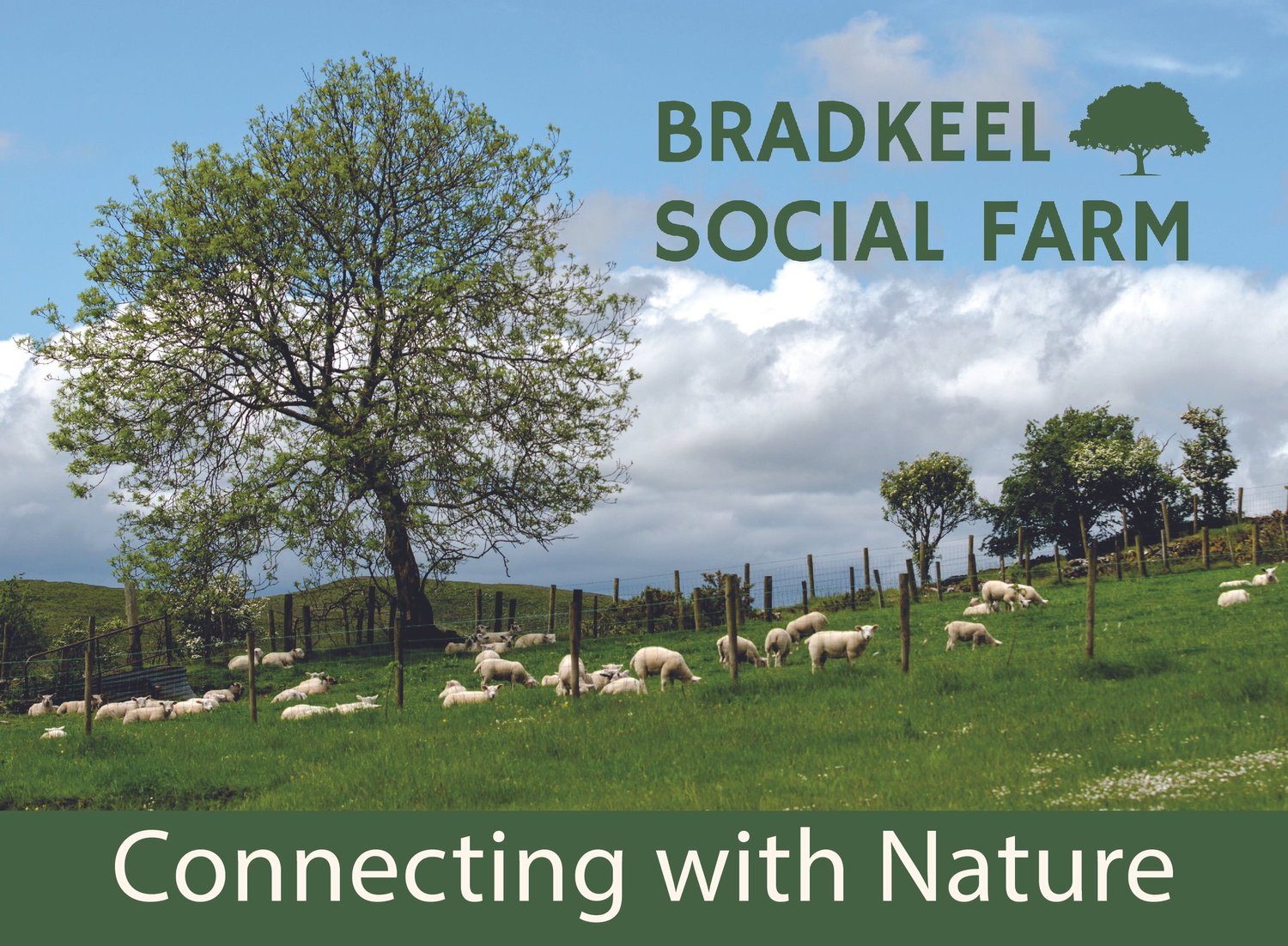 Bradkeel Social Farm