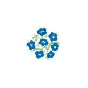 The Alzheimer Society of Ireland