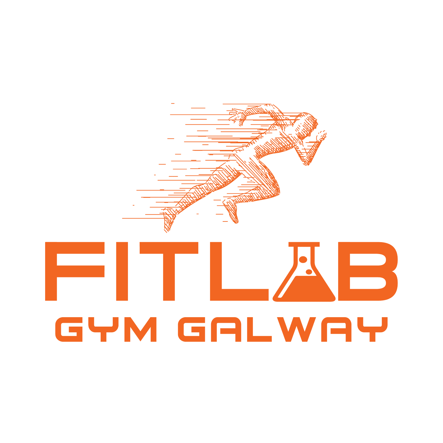 FitLab Galway | Youth Athletic Development, Speed & Strength Coaching