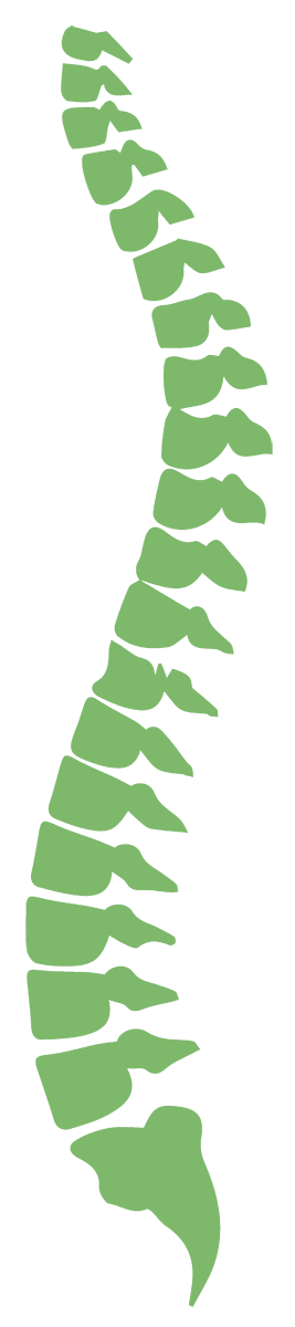 Kaha Chiropractic
