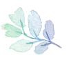 Psychotherapy and Counselling Services Sylwia Kuchenna