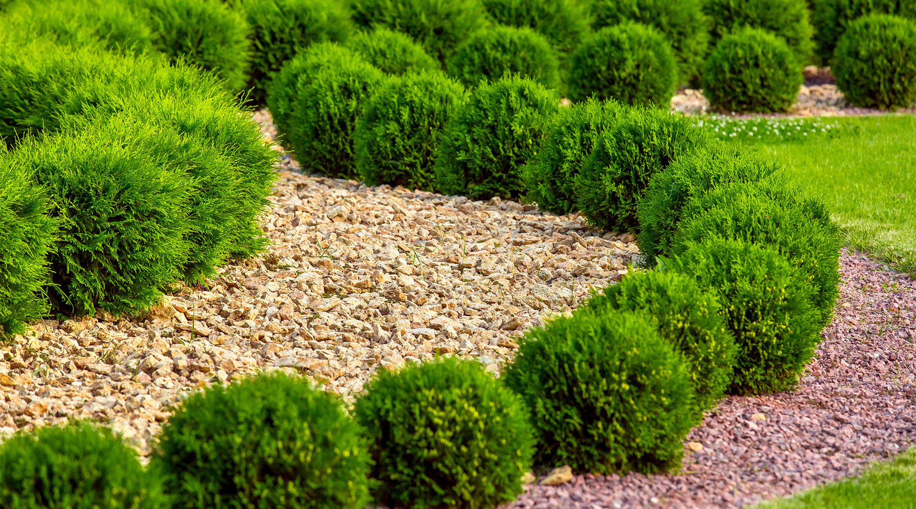 LM Landscaping