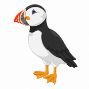 Puffin Trust