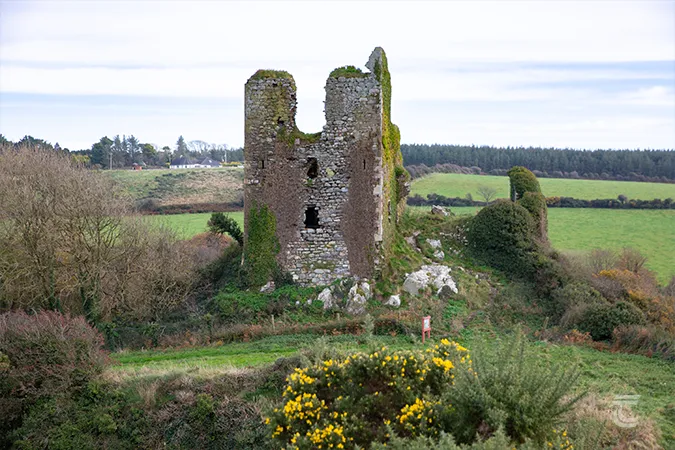 Dunhill Castle