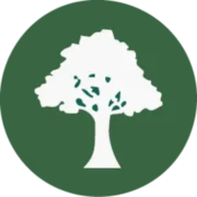Easydone Tree Surgeons Ltd