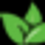 Munster Tree Services