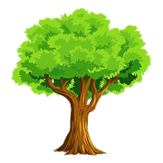 TFG Tree Service