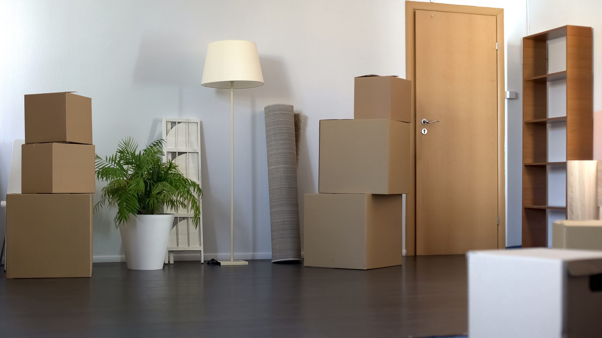 D&G Removals (man with a van)