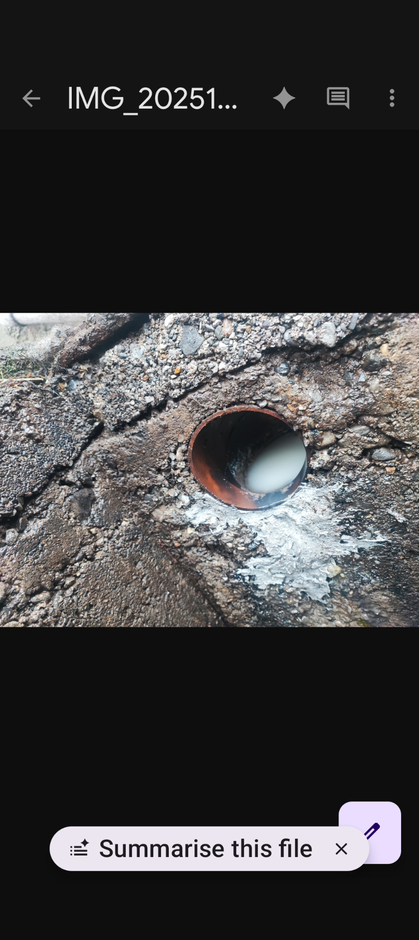 PDSE Pest Control Services