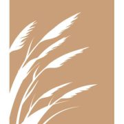 Araglen House Nursing Home logo
