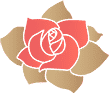 The Flower Studio Belfast