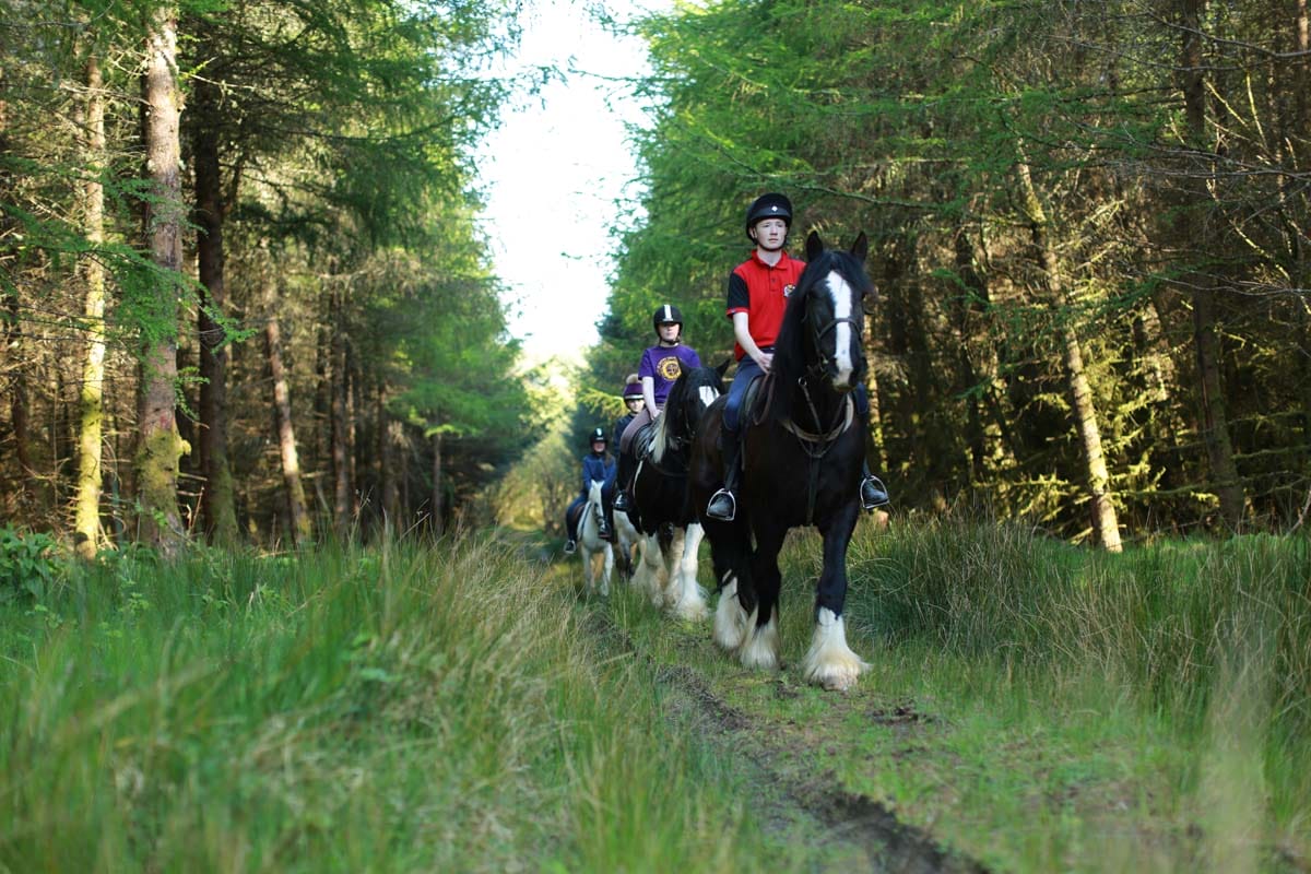 City Of Derry Farm and Equestrian Centre