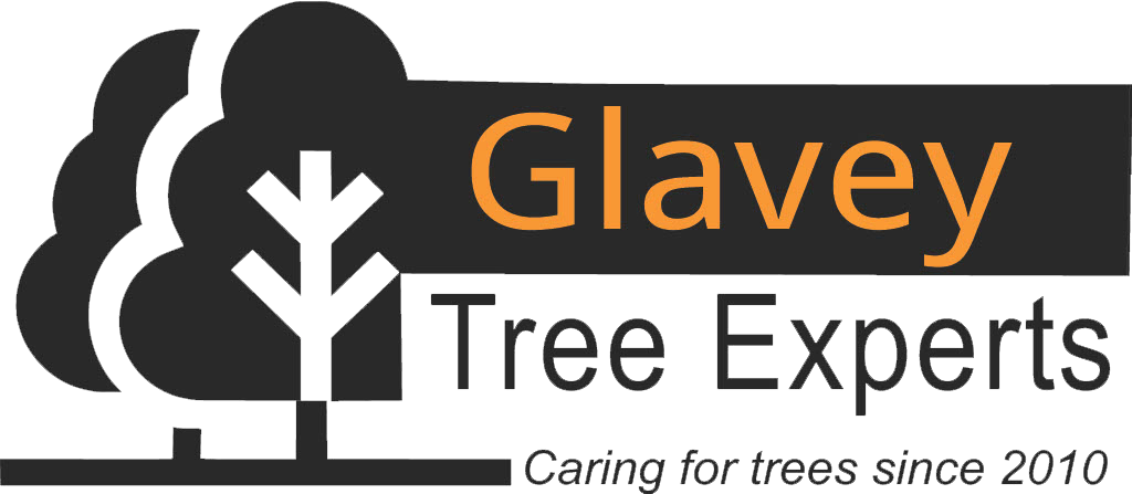 Glavey Tree Experts