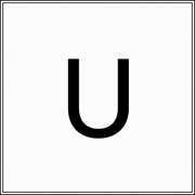 The Urban Company