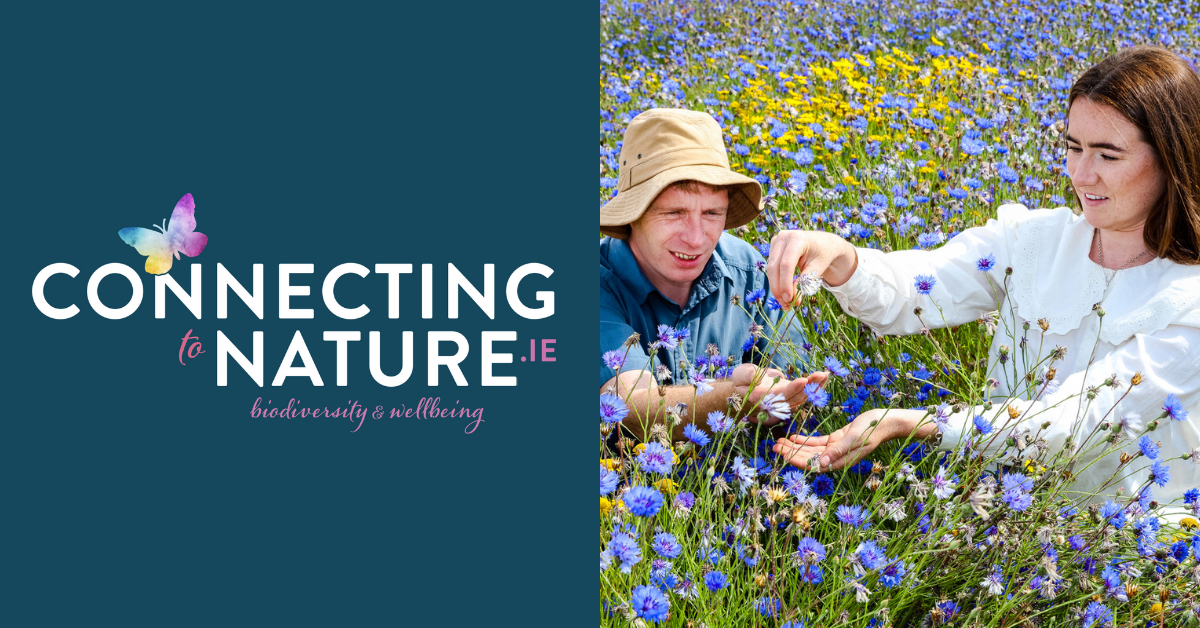 Connecting to Nature | Irish Wildflower Seed Producer & Supplier