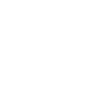 Dowling Property logo