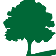 Special Branch Tree Services