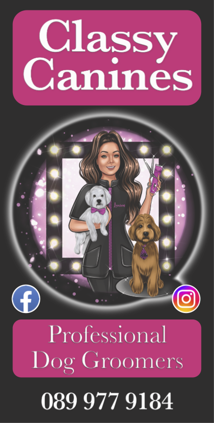 Classy Canines Professional Dog Grooming