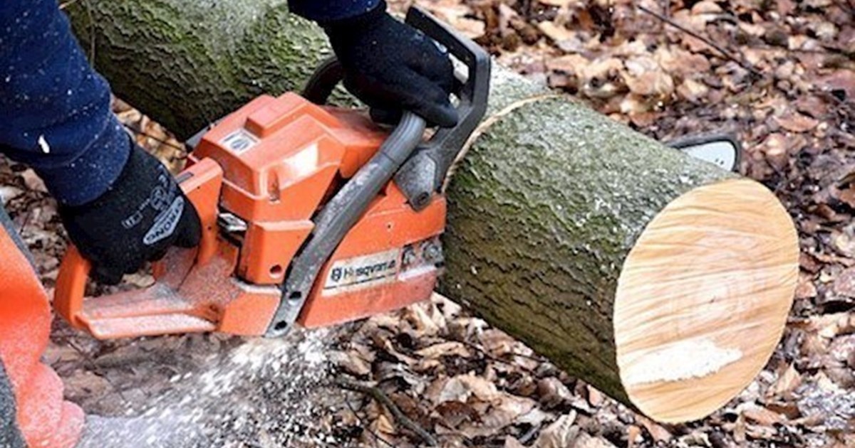 Gavin McDermott Tree Surgery