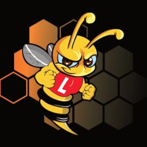 BeeSafe Driving School