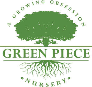 Green Piece Nursery