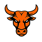 No Bull Gym