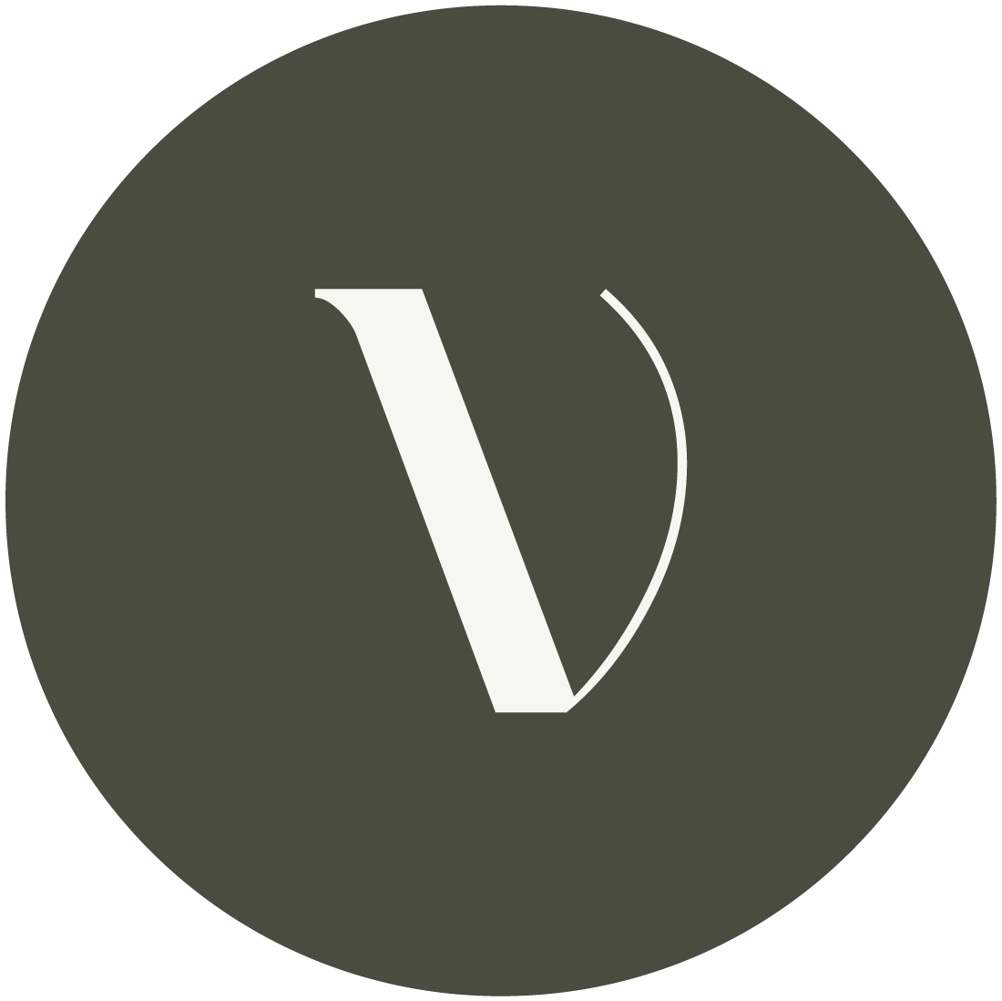 Velvet Interiors