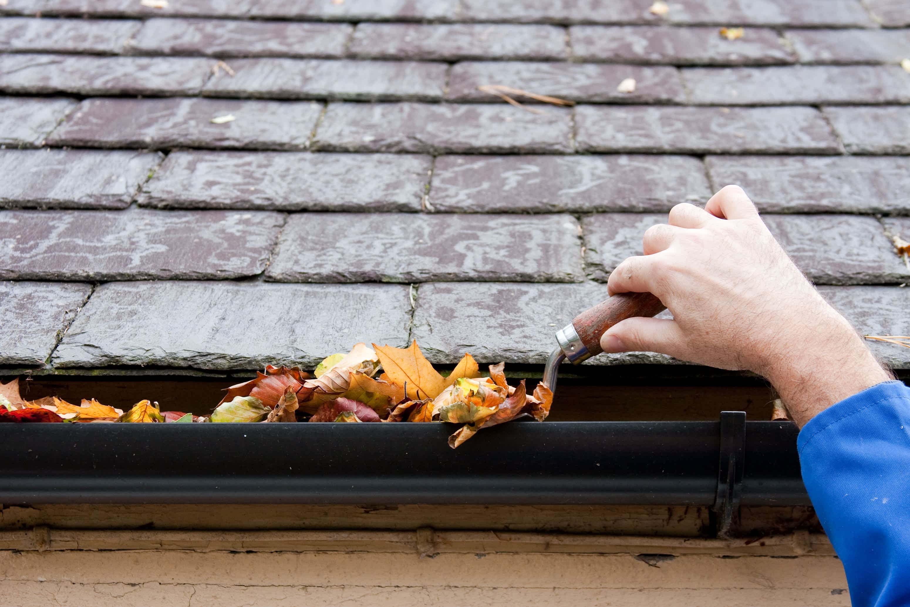 Lisnagarvey window & Gutter Cleaning services