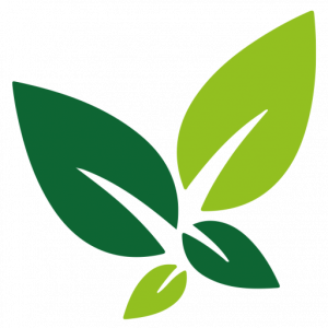 Gardens by Robert | Gardener Belfast