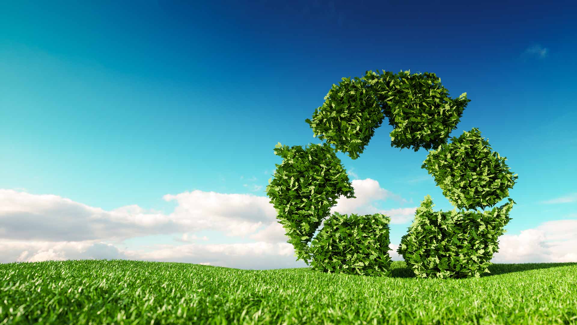 Ballinrobe Waste, Wheelie Bin & Skip Hire