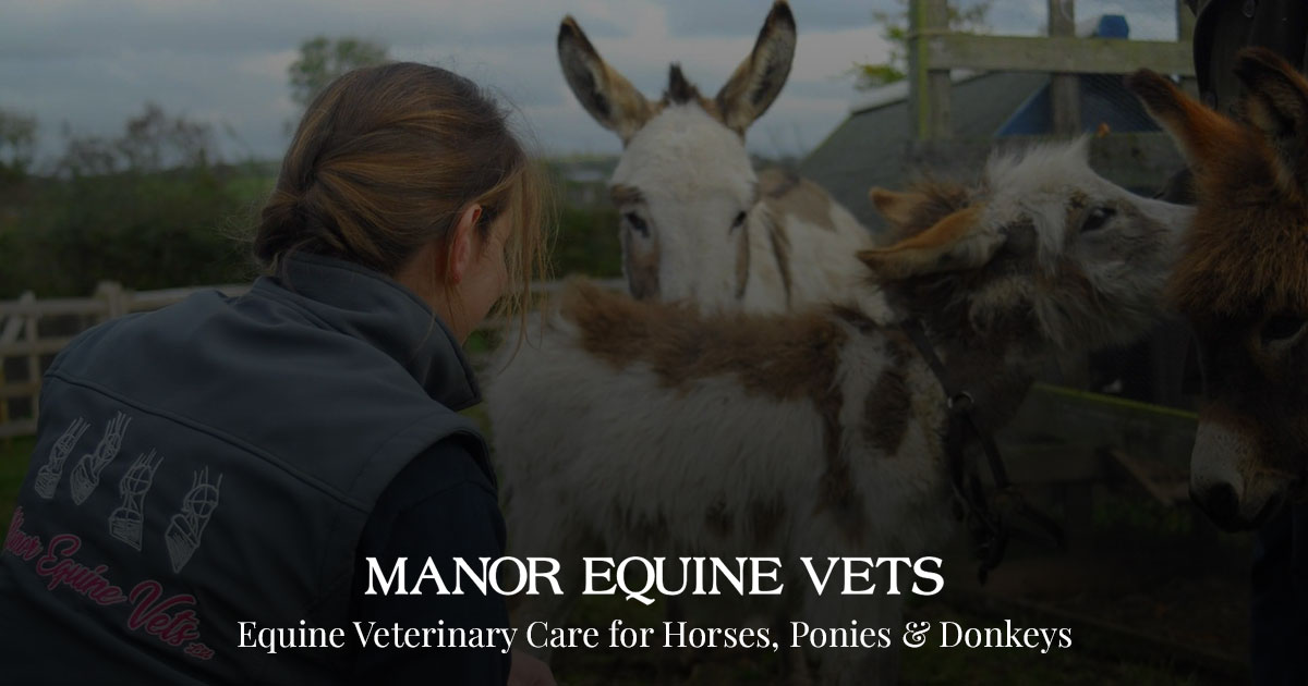 Manor Equine Vets Ltd