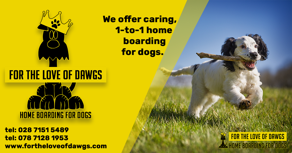 For The Love Of Dawgs