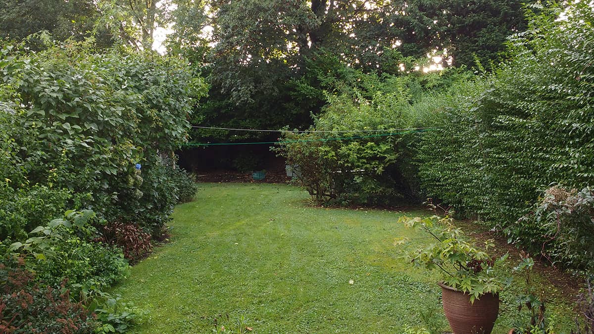 SC Gardening