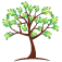 Cedar Design