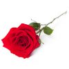 P Townley & Sons Limited Funeral Directors