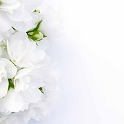 Shaws Funeral Directors