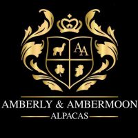 Amberly Alpacas Northern Ireland