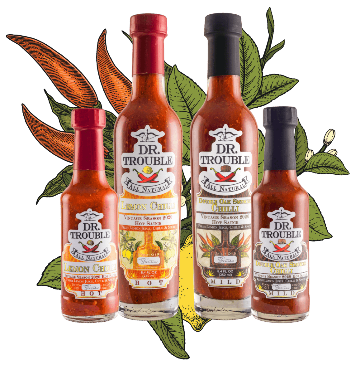 Dr Trouble Sauce