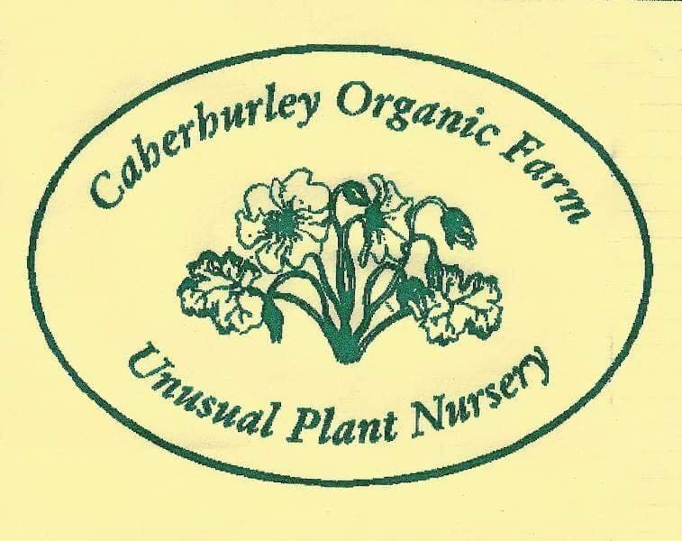 Caherhurley Nursery