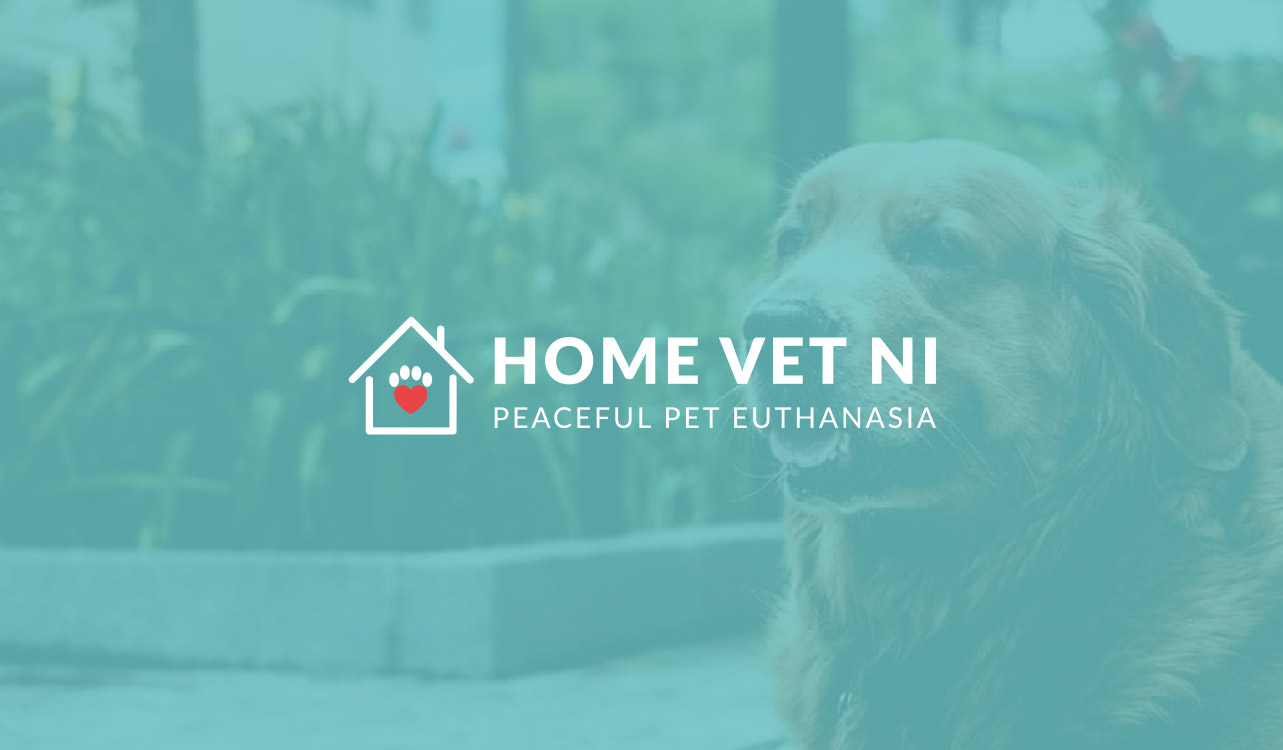 Home Vet NI