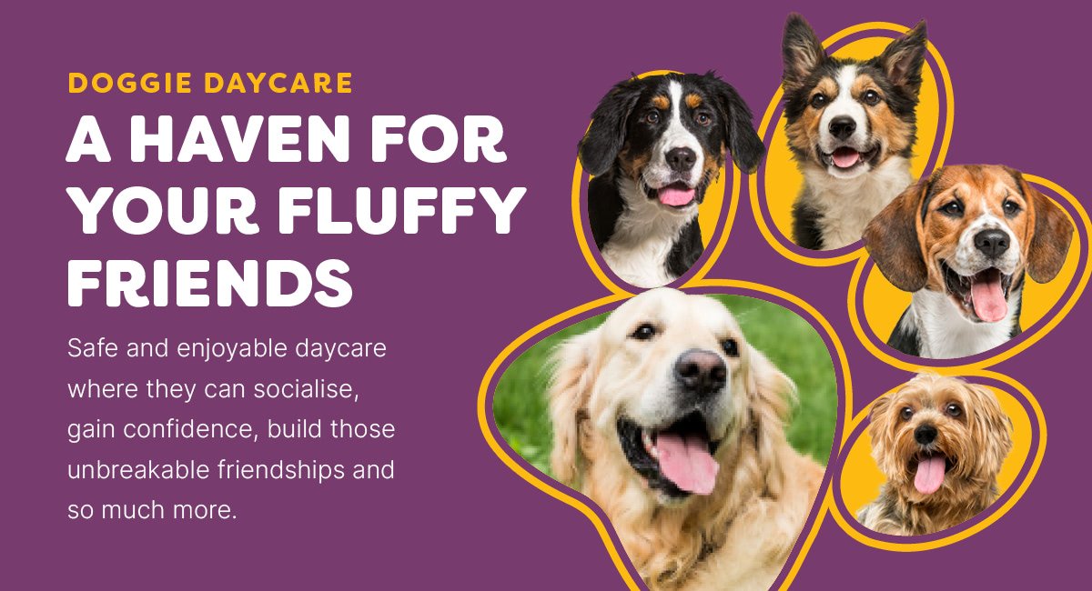 Fluffy Paws Doggie Daycare Ltd
