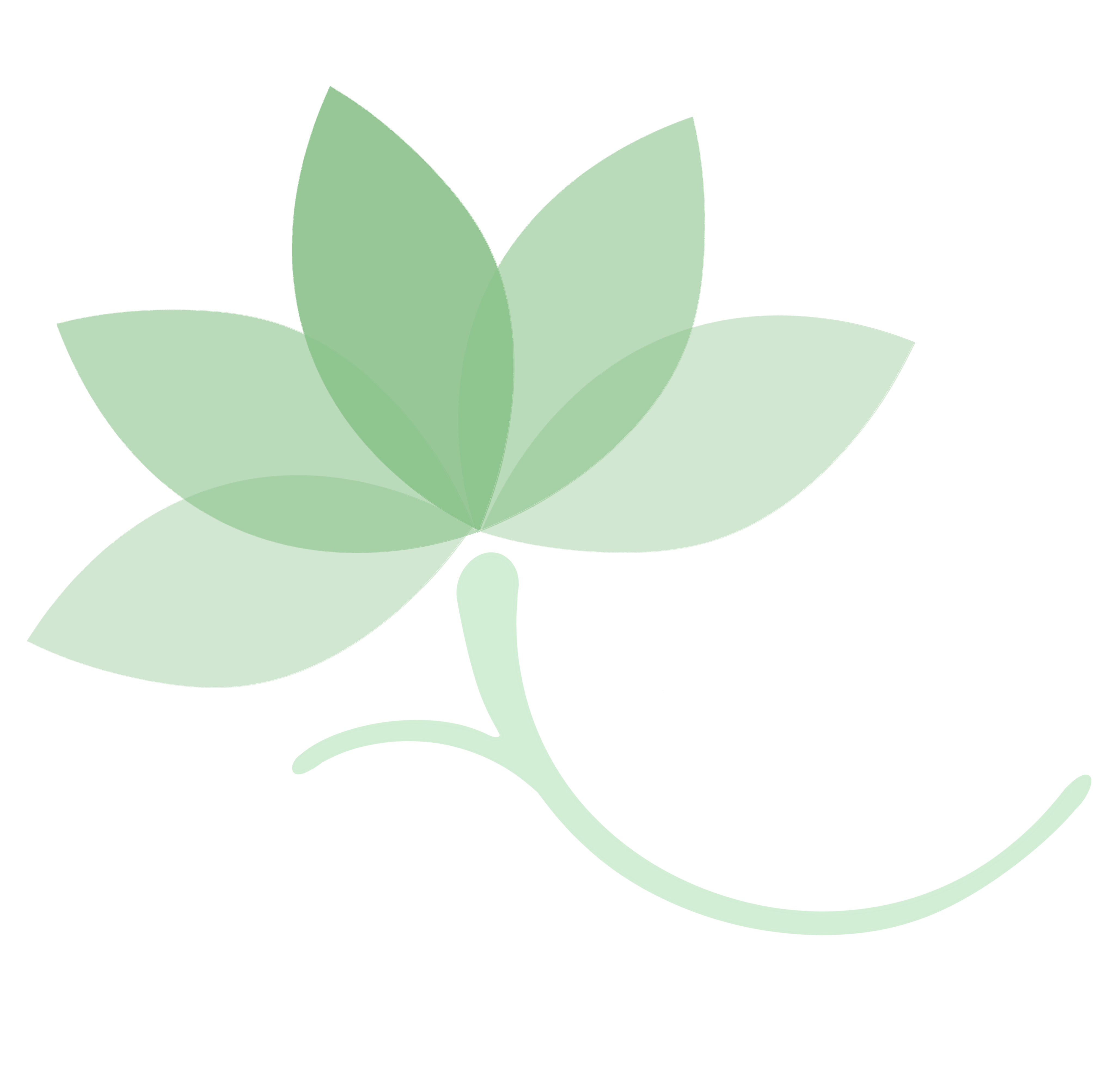 Naturobalance