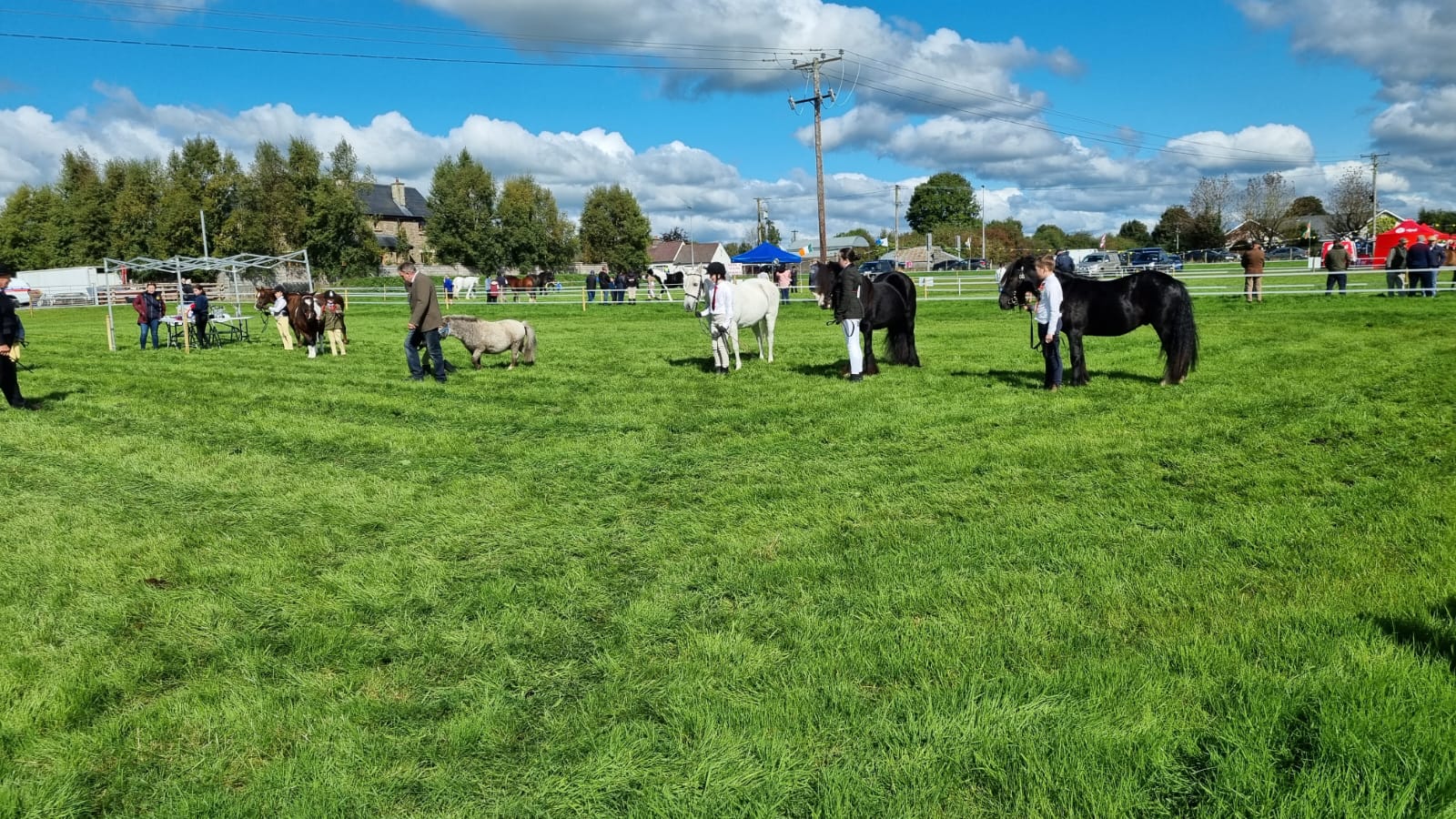 Roscommon Industrial & Agricultural Show Society logo