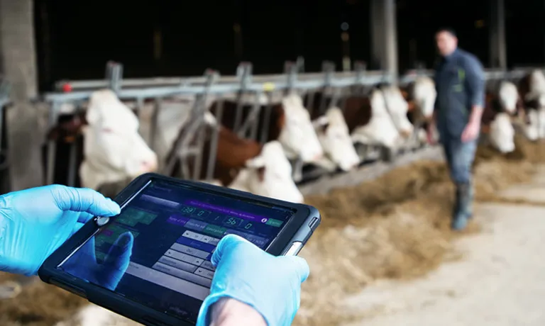 Farmvet Systems Ltd