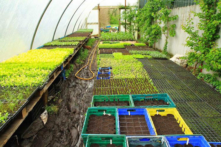 Lough Boora Farm