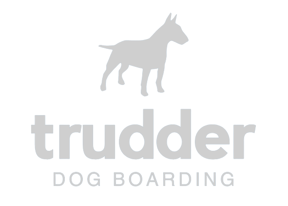 Trudder Dog Boarding/Kennels