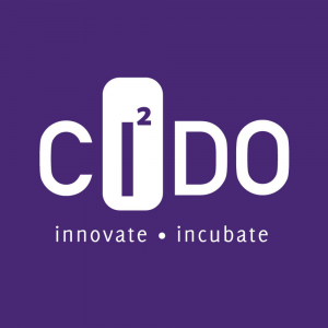 Craigavon Industrial Development Organisation Ltd