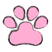 Dreamdogz dog groomer in Wexford