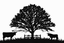 Yew tree family butchers